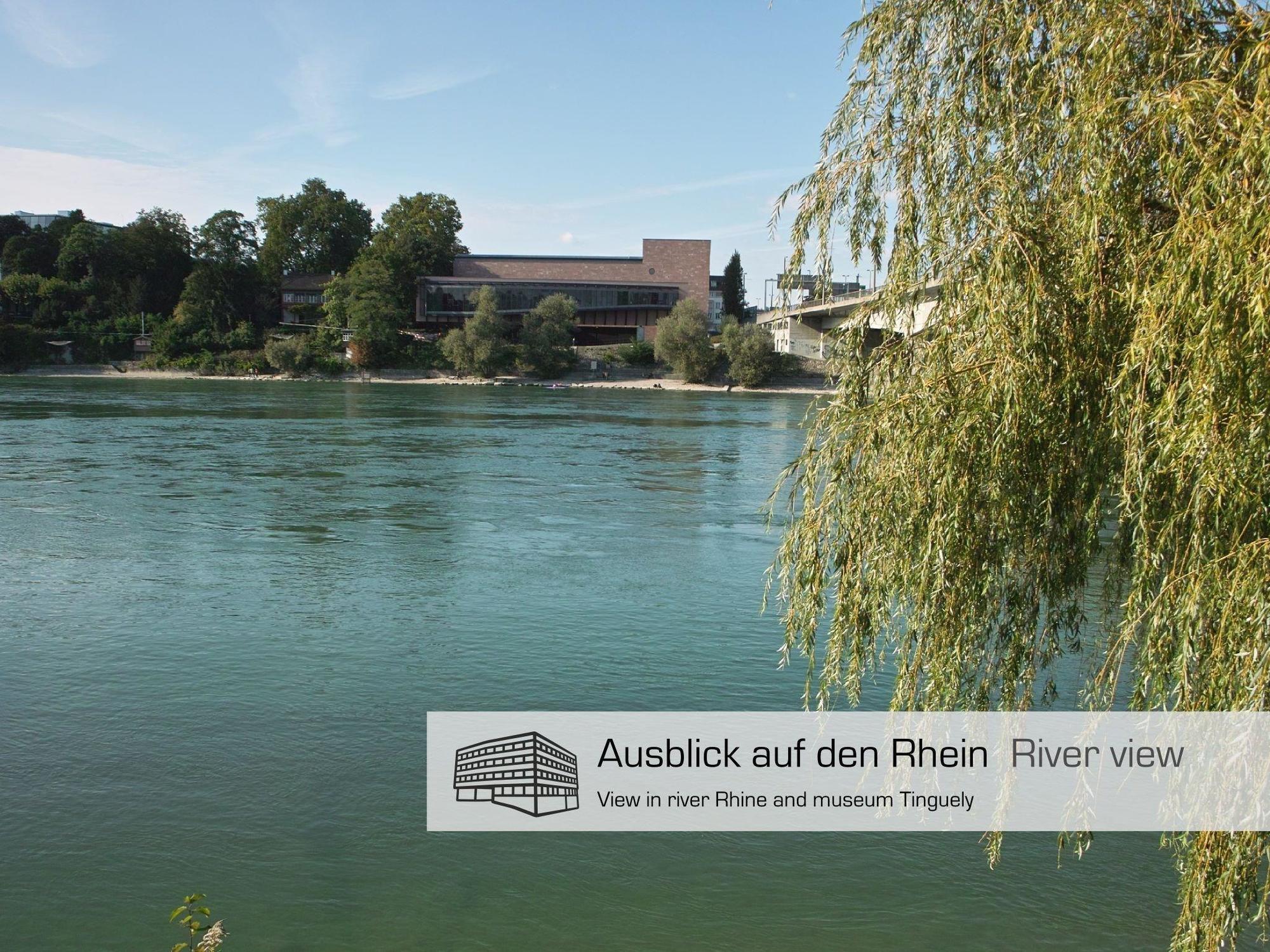 Dasbreitehotel Am Rhein بازل المظهر الخارجي الصورة